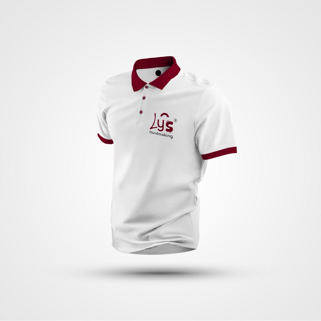 Starlink Installation Plan